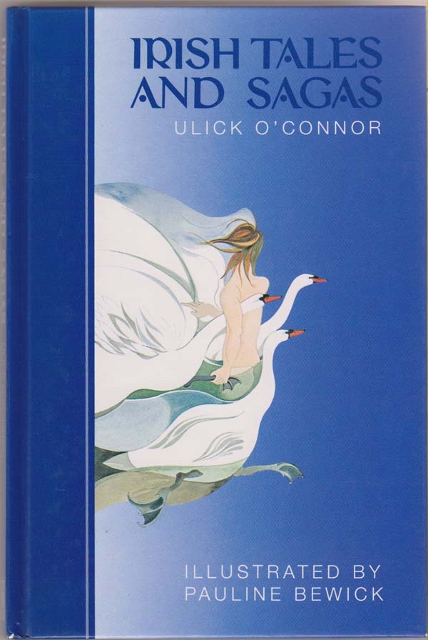 Image for Irish Tales and Sagas