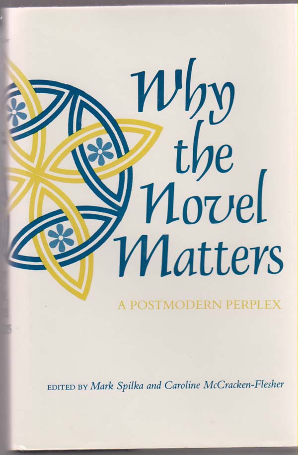 Image for Why the Novel Matters: a Postmodern Perplex