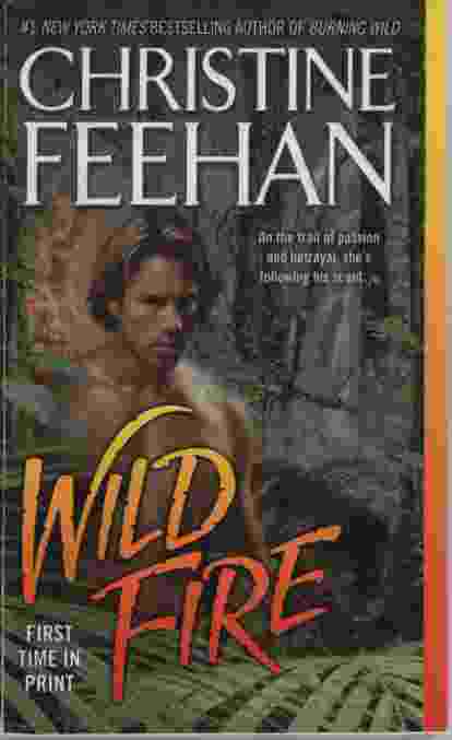 Image for WILD FIRE