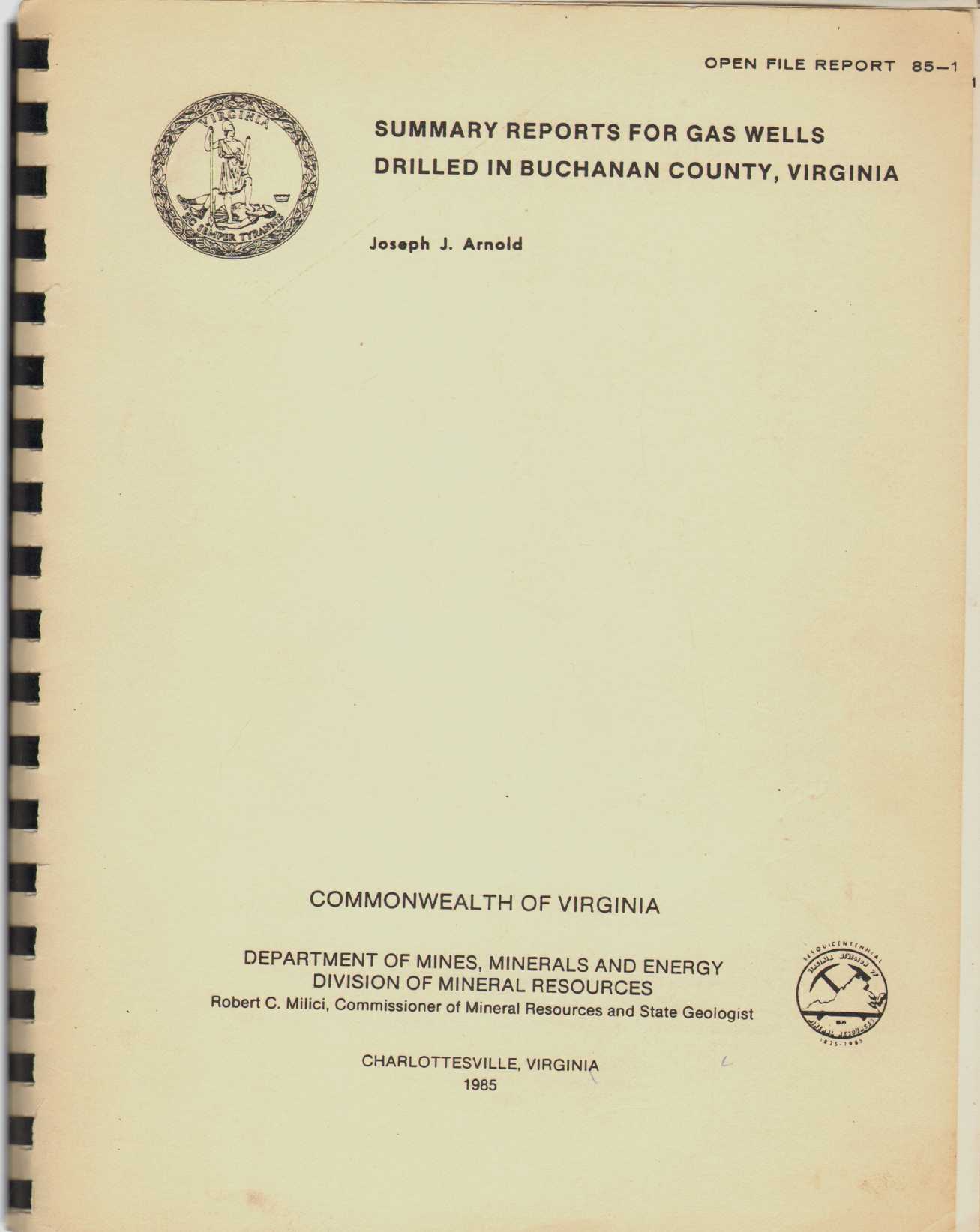 Image for SUMMARY REPORTS FOR GAS WELLS DRILLED IN BUCHANAN COUNTY, VIRGINIA Open File Report 85-1