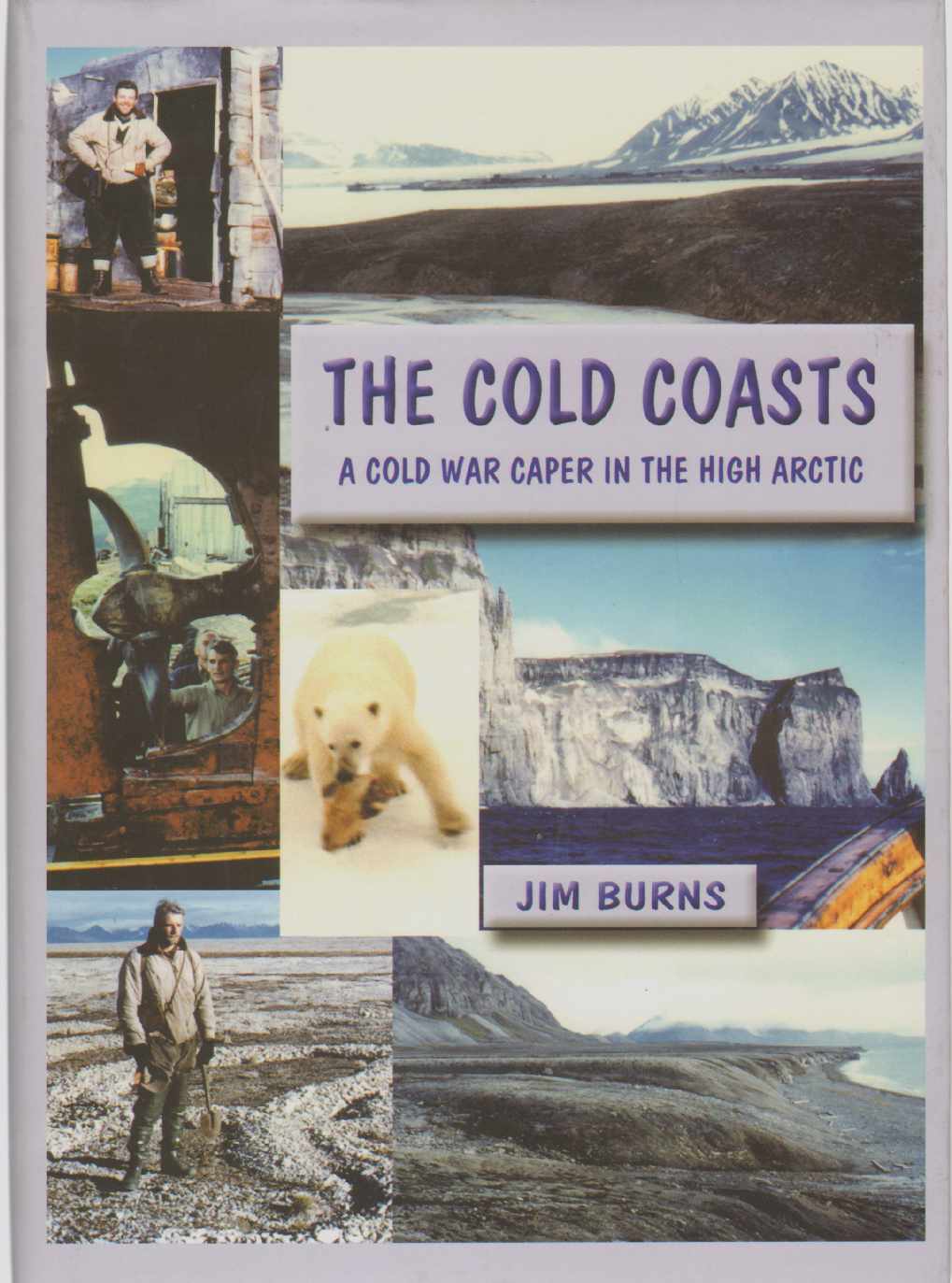 Image for THE COLD COASTS A Cold War Caper in the High Arctic