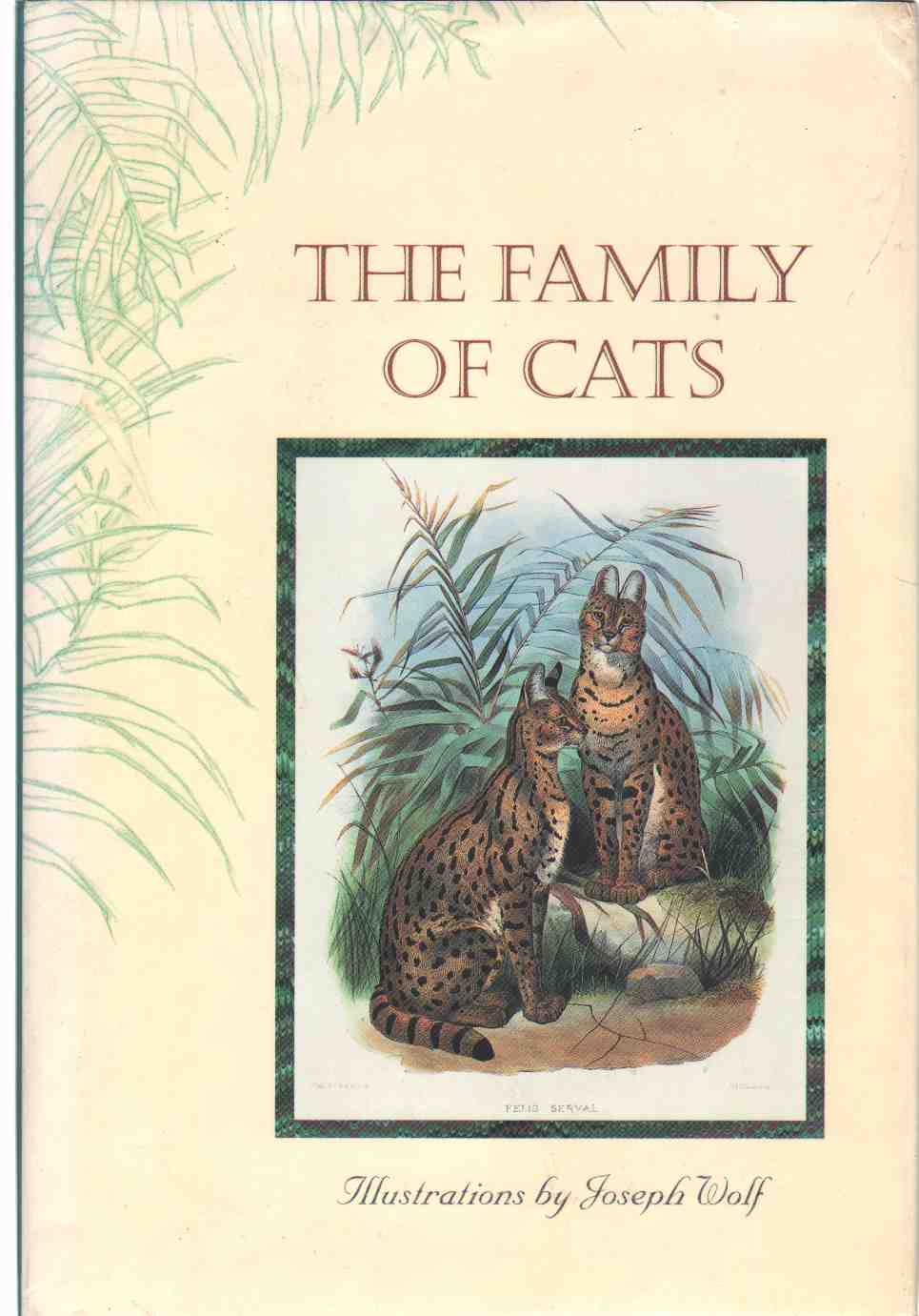 Image for THE FAMILY OF CATS
