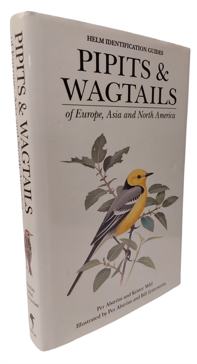 PER ALSTROM AND KRISTER MILD - Pipits and Wagtails of Europe, Asia and North America Identification and Systematics