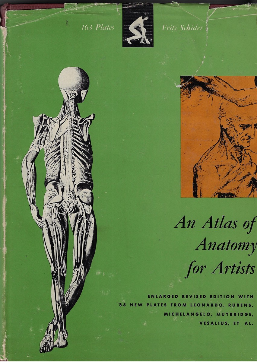 An Atlas of Anatomy for Artists