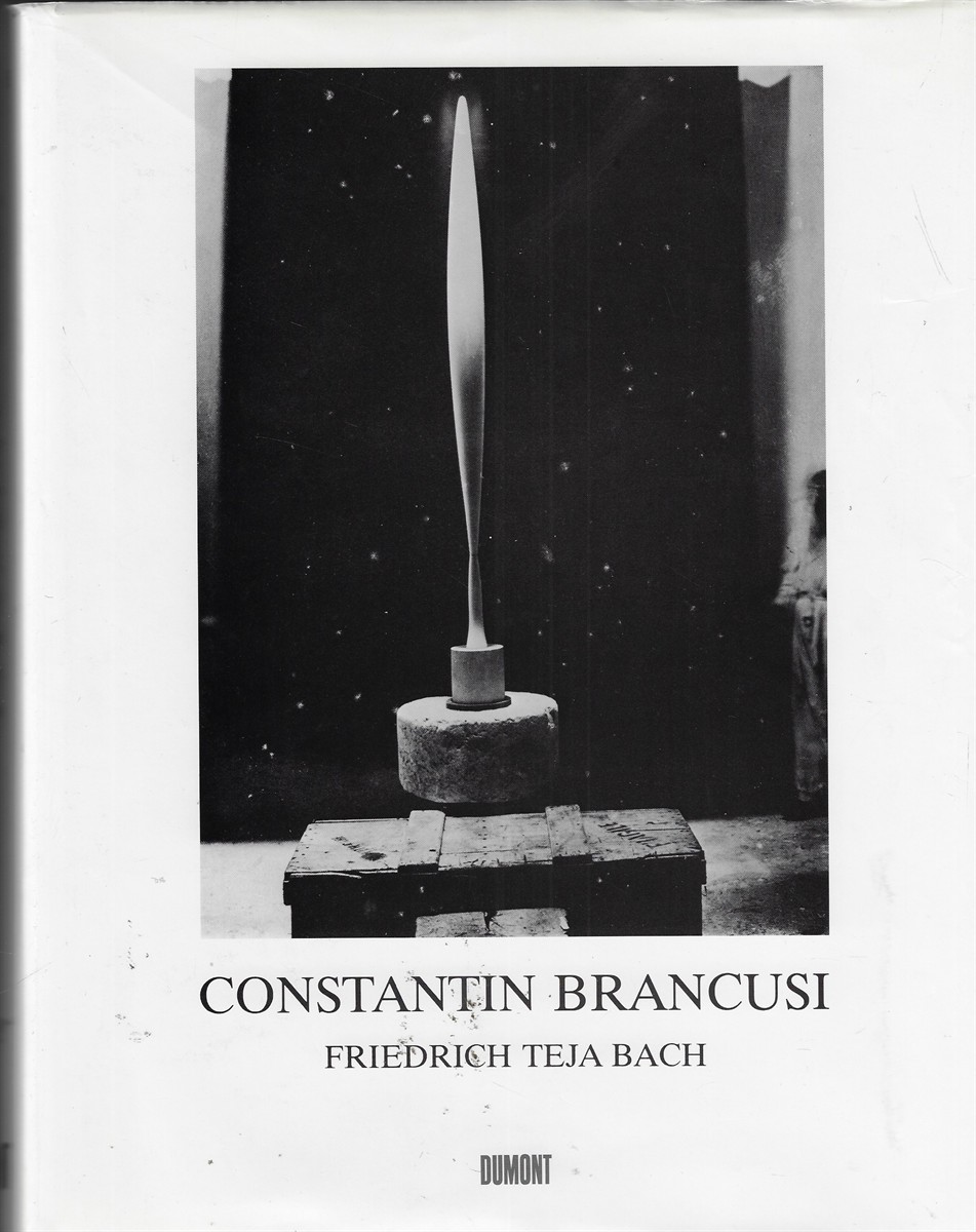 Constantin Brancusi Metamorphosen Plastischer Form