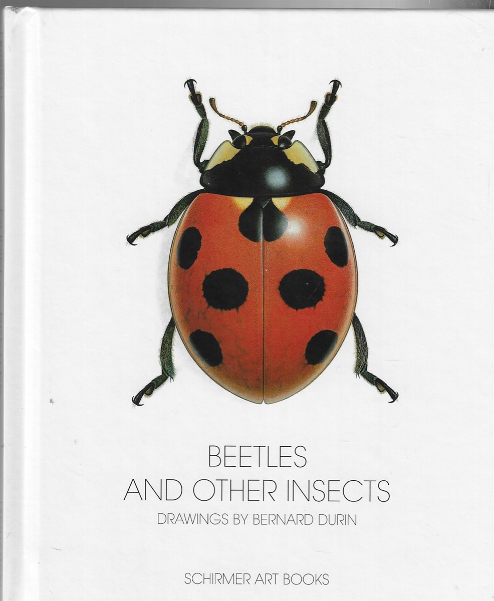 Beetles and Other Insects Drawings by Bernhard Durin