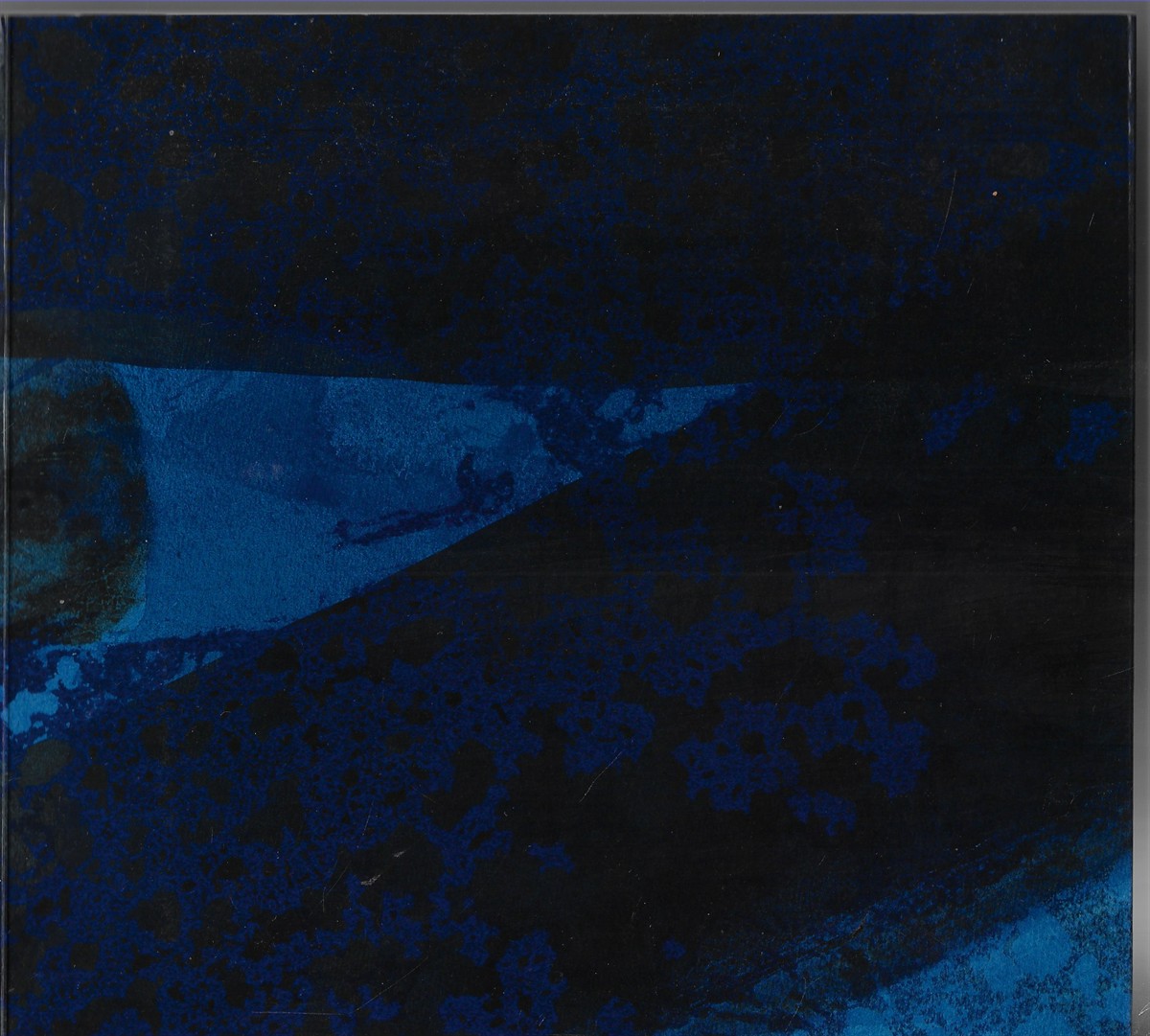 Howard Hodgkin Venetian Views 1995