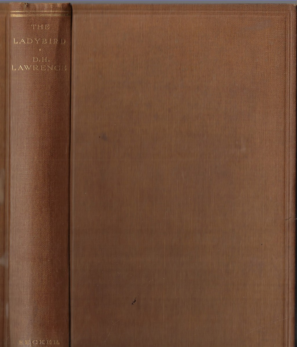 Image for The Ladybird The Fox: The Captain's Doll The Ladybird The Fox: The Captain's Doll