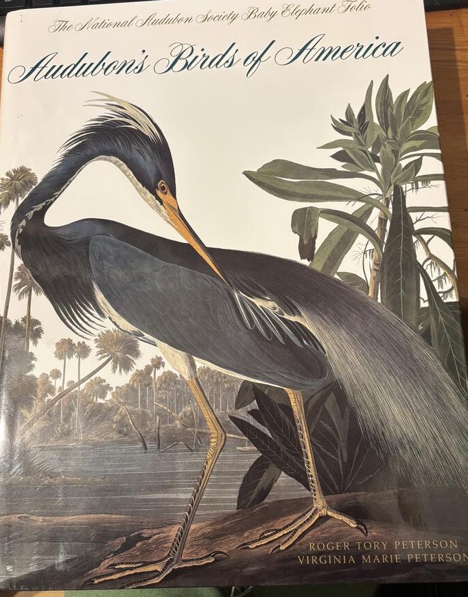 Audubon's Birds of America The National Audubon Society Baby Elephant Folio