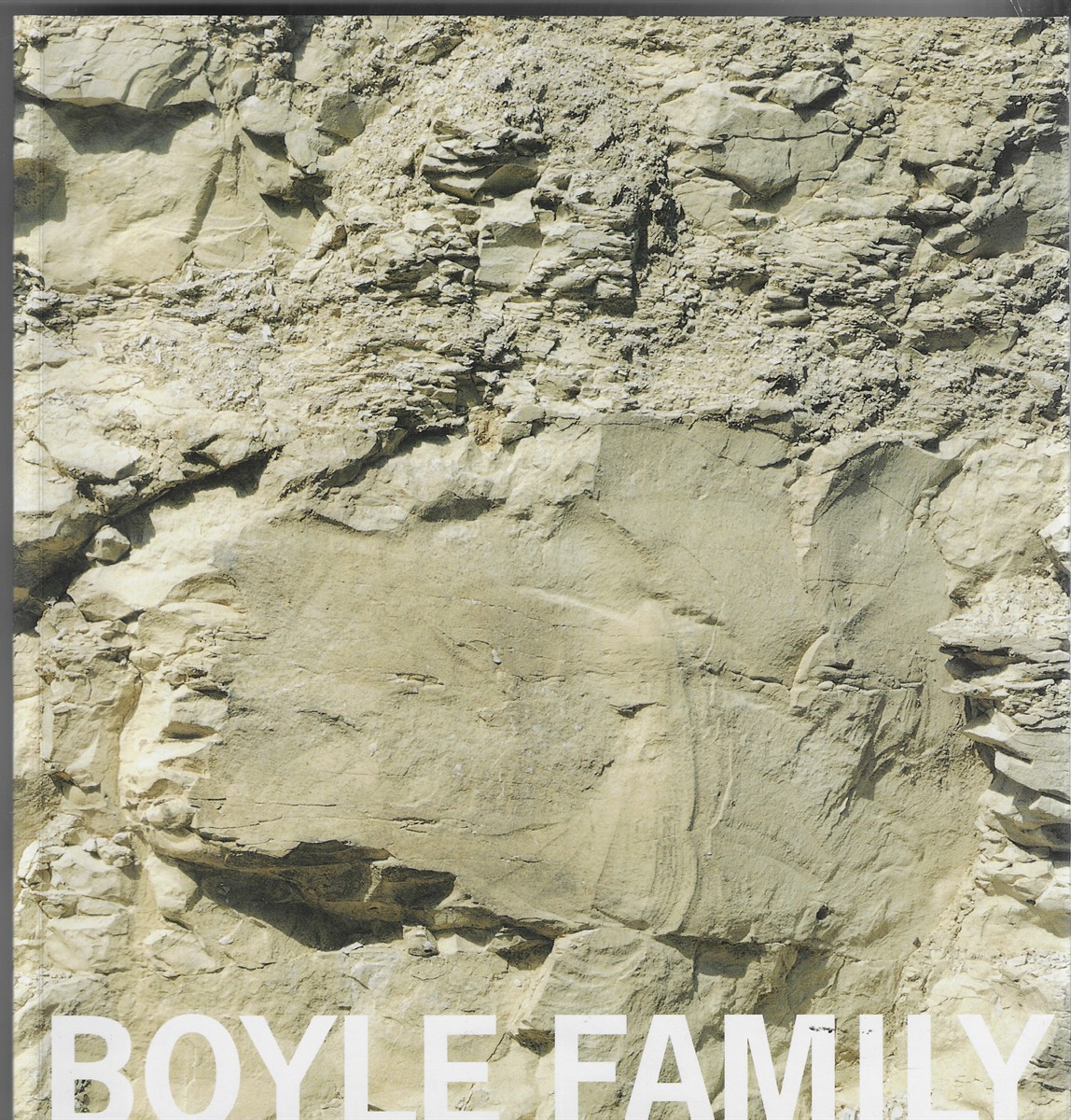 Boyle Family