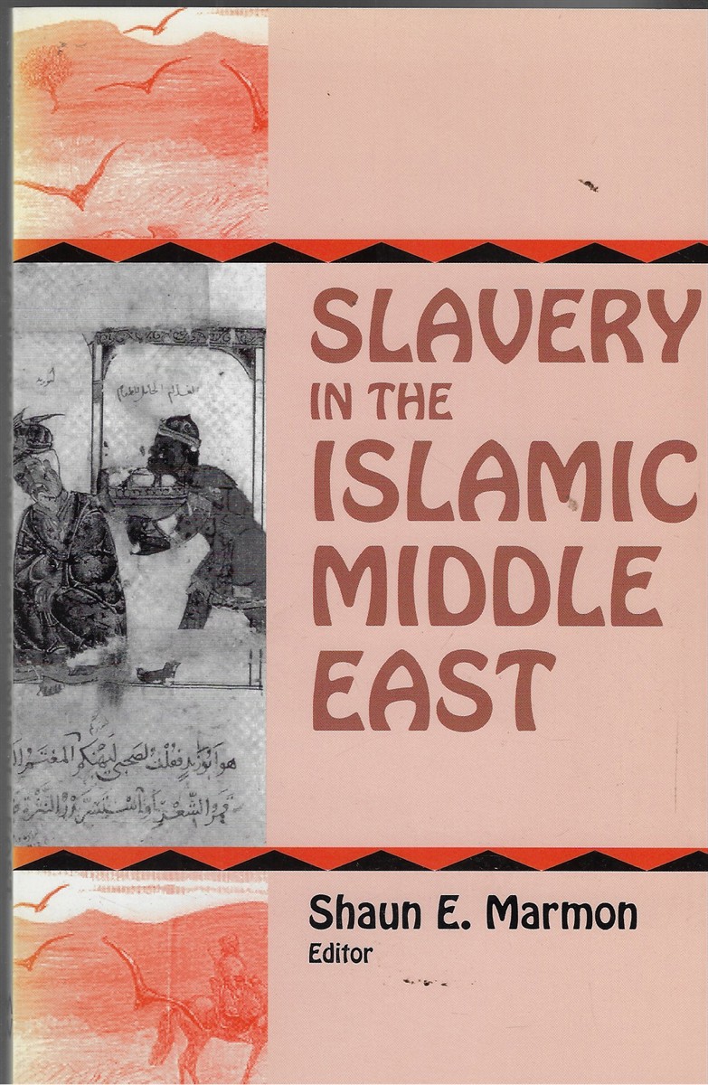 Image for Slavery in the Islamic Middle East Slavery in the Islamic Middle East