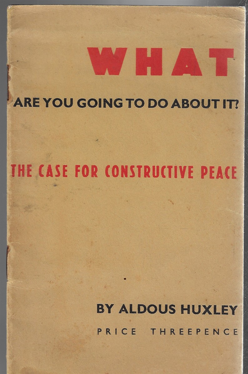 Image for What are you Going to do About it; The Case for Constructive Peace What are you Going to do About it; The Case for Constructive Peace