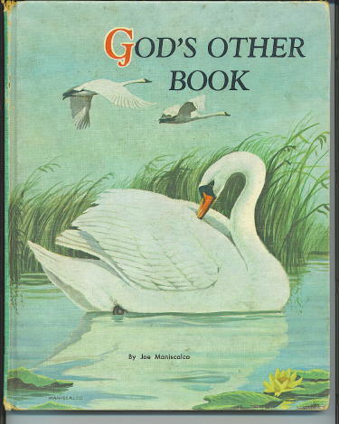 Image for God's Other Book