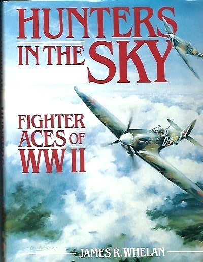 Image for Hunters In The Sky Fighter Aces of WWII