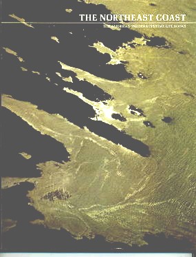 Image for The Northeast Coast