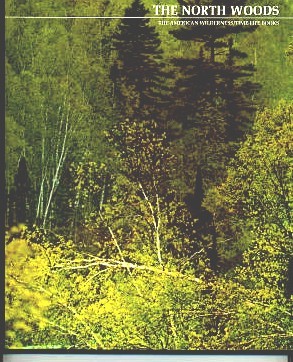Image for The North Woods