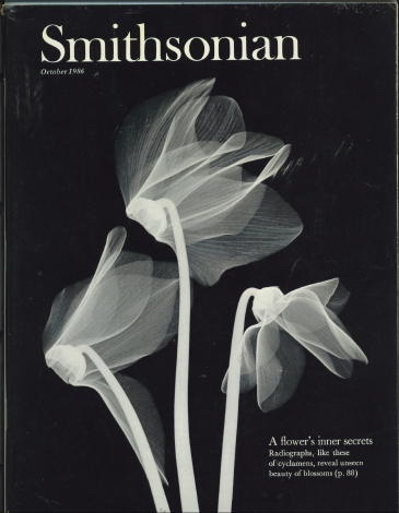 Image for Smithsonian Magazine, October 1986 Volume 17, Number 7: a Flower's Inner Secrets