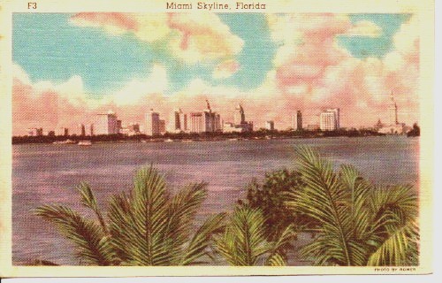 Image for Miami Skyline, Florida