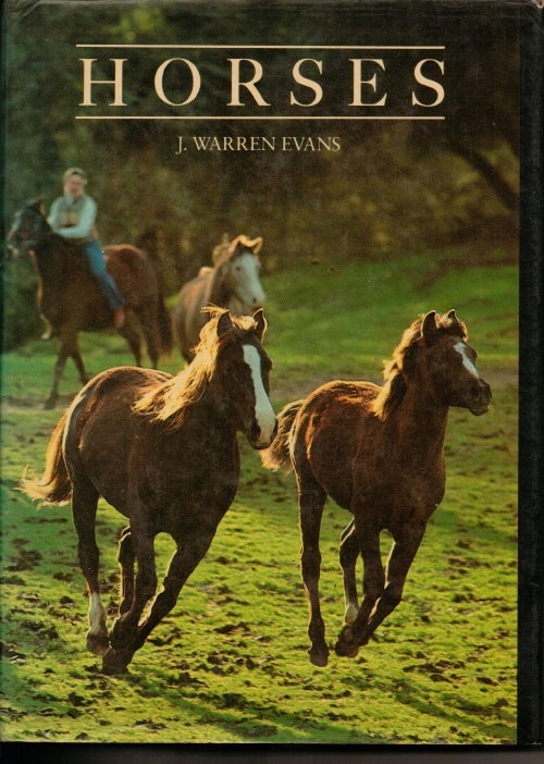 Image for Horses A Guide to Selection, Care, and Enjoyment