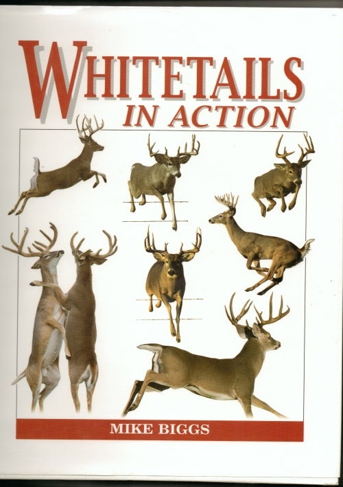 Image for Whitetails in Action