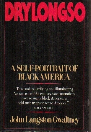 Image for Drylongso, A Self-portrait Of Black America