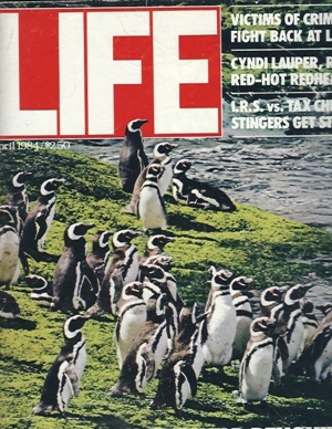 Image for Life Magazine, April, 1984 Penguins