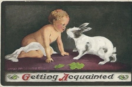 Image for Getting Acquainted, Baby And Bunny