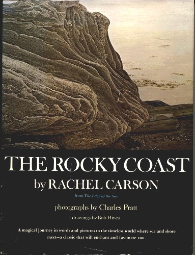 Image for The Rocky Coast