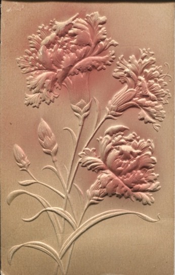 Beautiful Pink Embossed Flowers