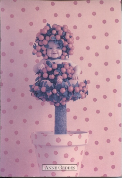 Anne Geddes