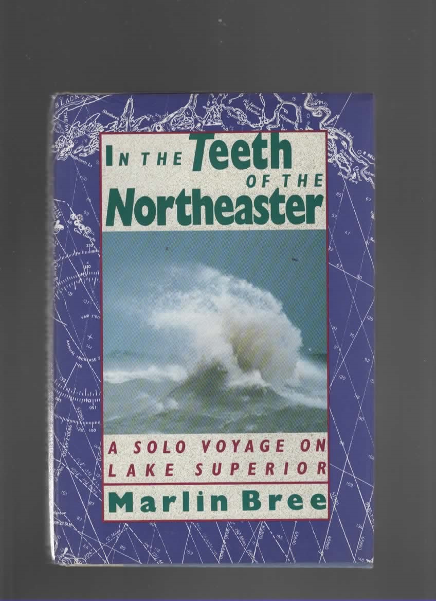 Image for IN THE TEETH OF THE NORTHEASTER