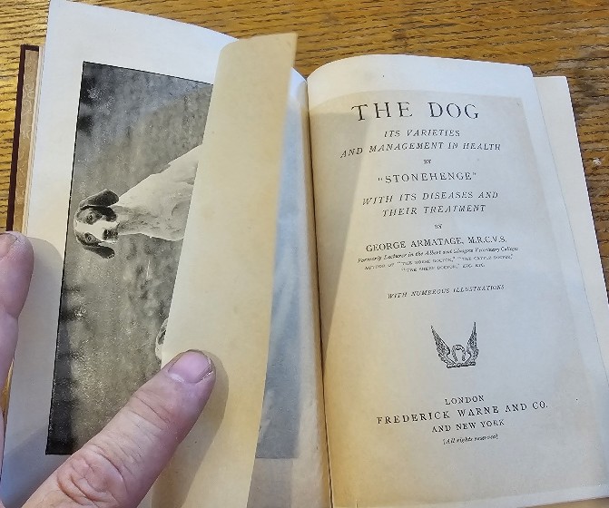 THE DOG ITS VARIETIES AND MANAGEMENT IN HEALTH WITH ITS DISEASES AND THEIR TREATMENT