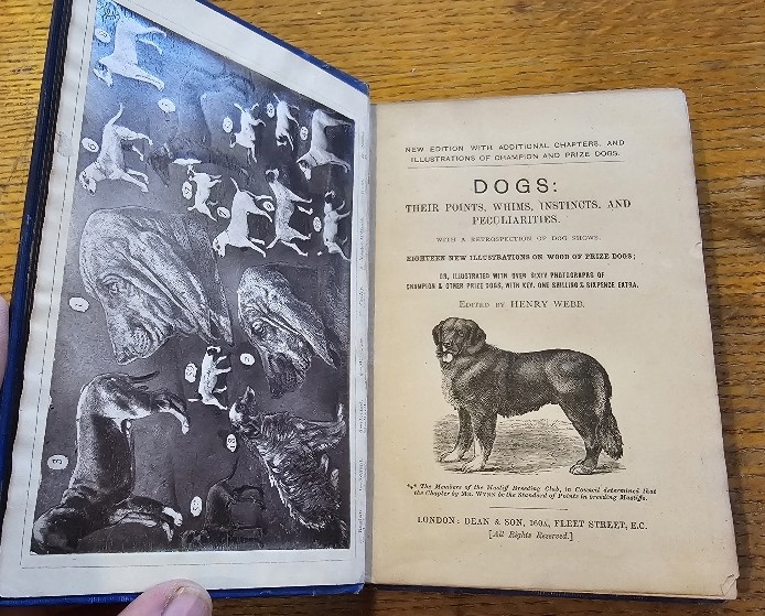 DOGS: THEIR POINTS, WHIMS, INSTINCTS, AND PECULIARITIES