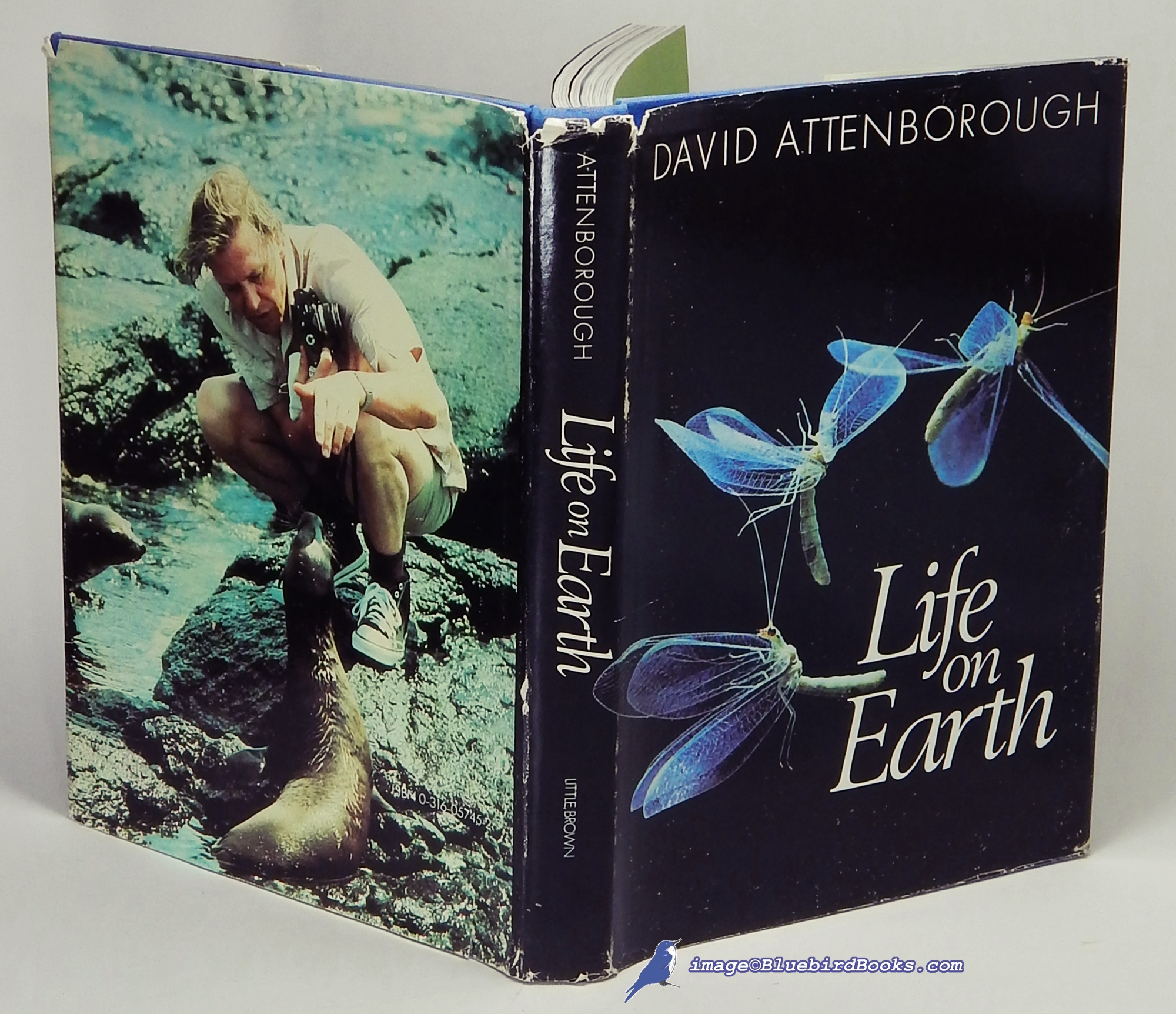 Image for Life on Earth: A Natural History