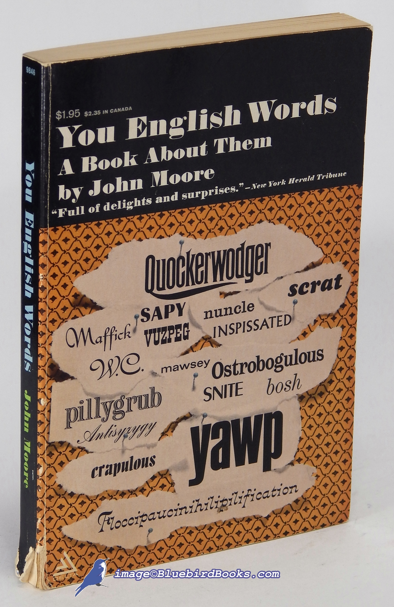 Image for You English Words:  A Book About Them