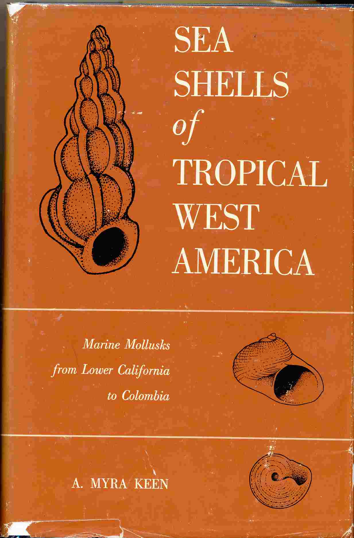 Image for Sea Shells of Tropical West America Marine Mollusks from Lower California to Colombia