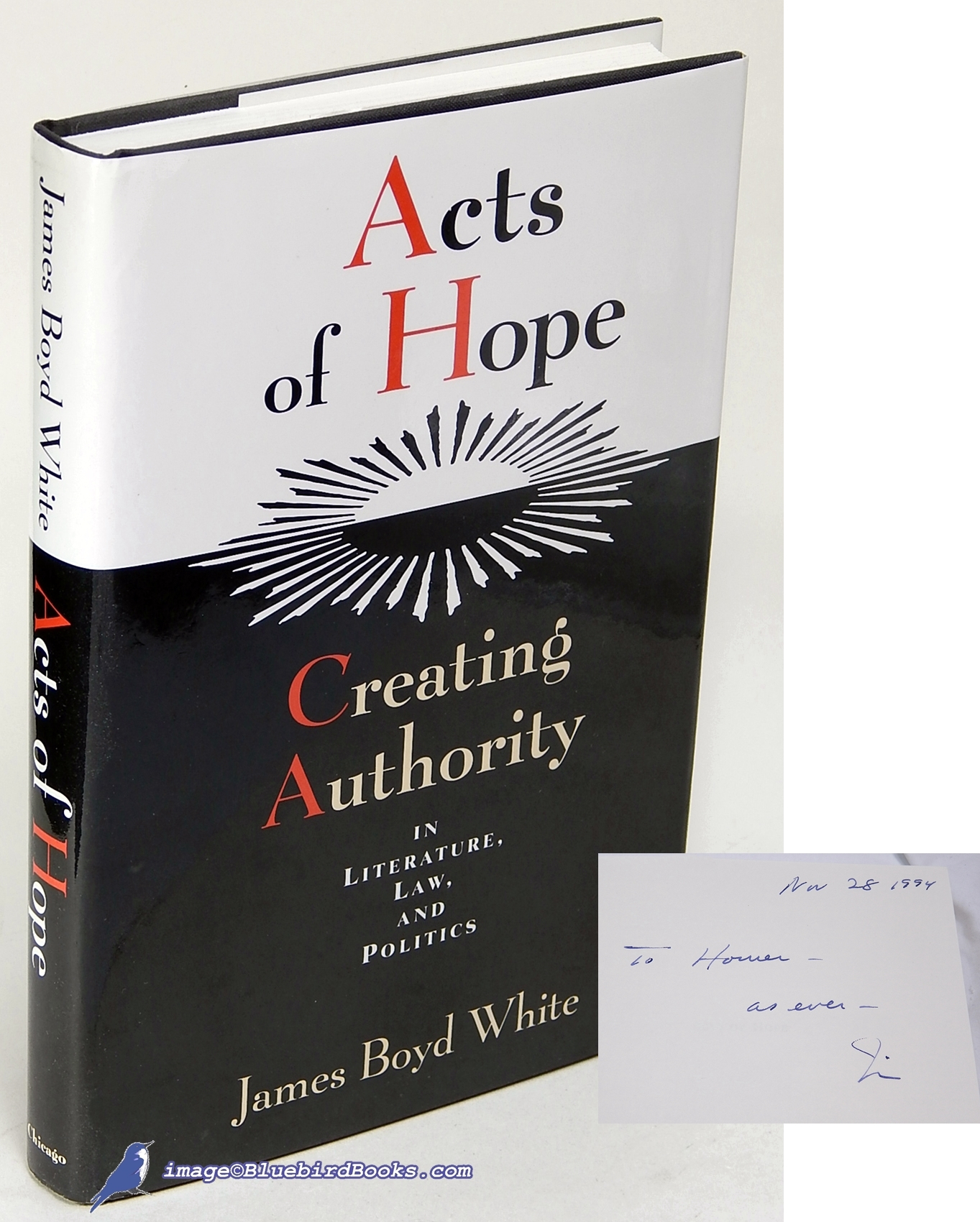 Image for Acts of Hope: Creating Authority in Literature, Law, and Politics
