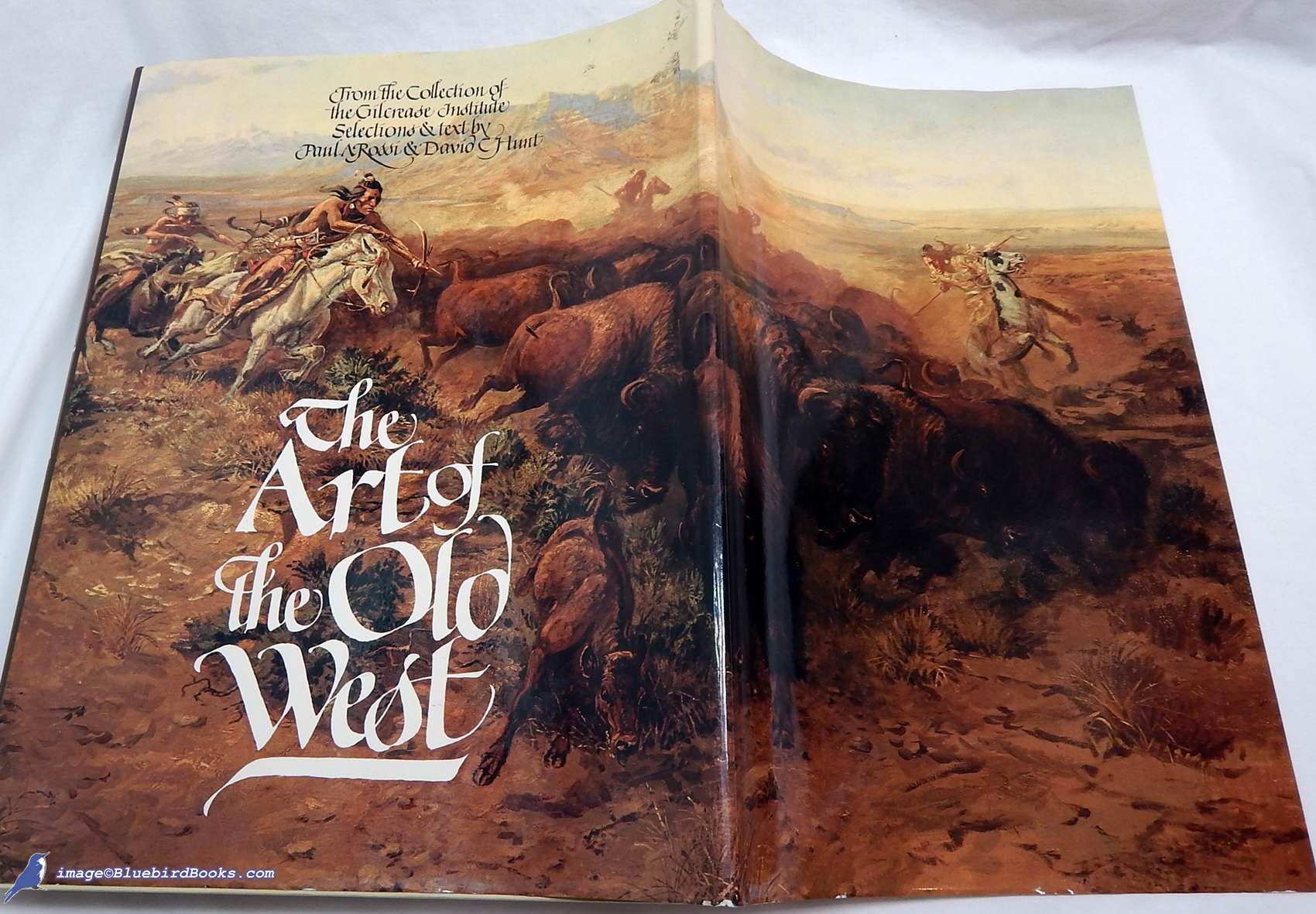 The Art of the Old West: From the Collection of the Gilcrease Institute  [Tulsa]