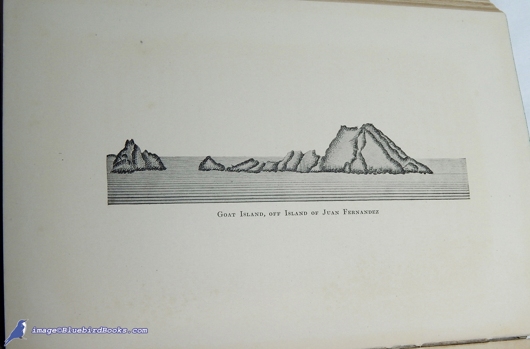 HALE, RICHARD L.; RUSS, CAROLYN HALE (EDITOR) - The Log of a Forty-Niner: Journal of a Voyage from Newburyport to San Francisco in the Brig Gen'l Worth Commanded by Captain Samuel Walton