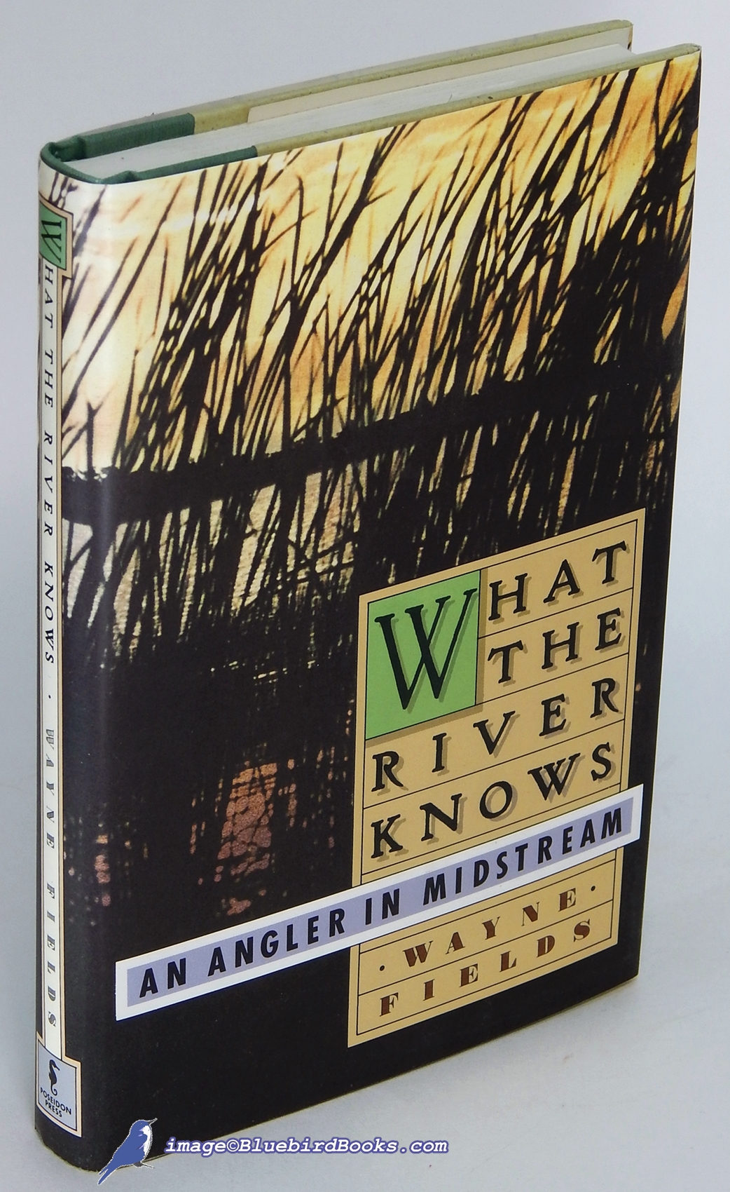 FIELDS, WAYNE - What the River Knows: An Angler in Midstream