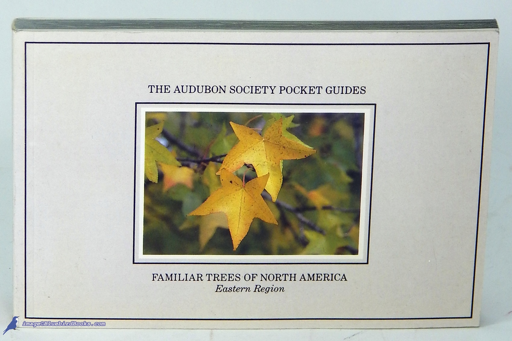 WHITMAN, ANN H. (EDITOR) - Familiar Trees of North America, Eastern Region (National Audubon Society Pocket Guide)