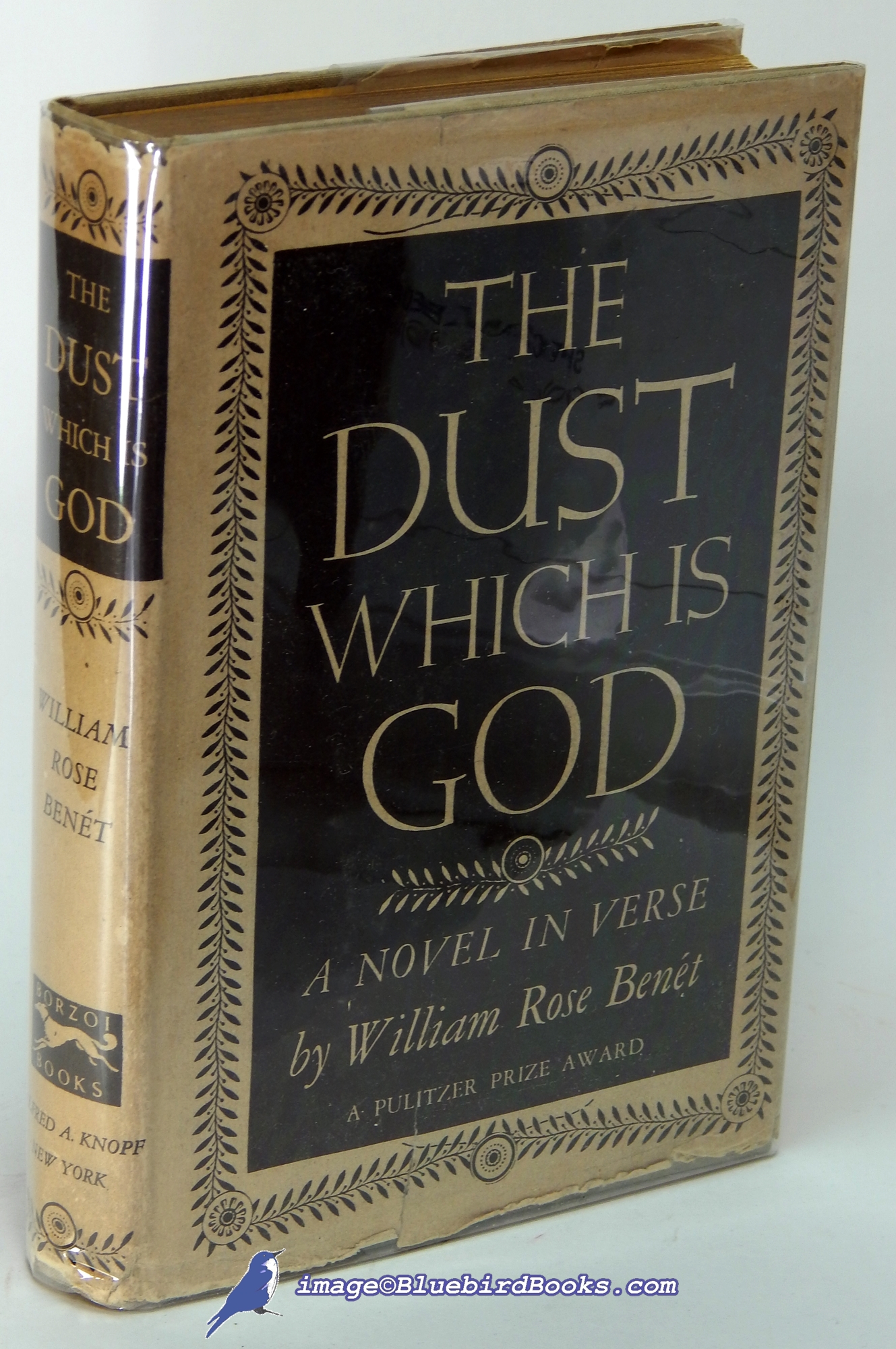 Image for The Dust Which is God: A Novel in Verse