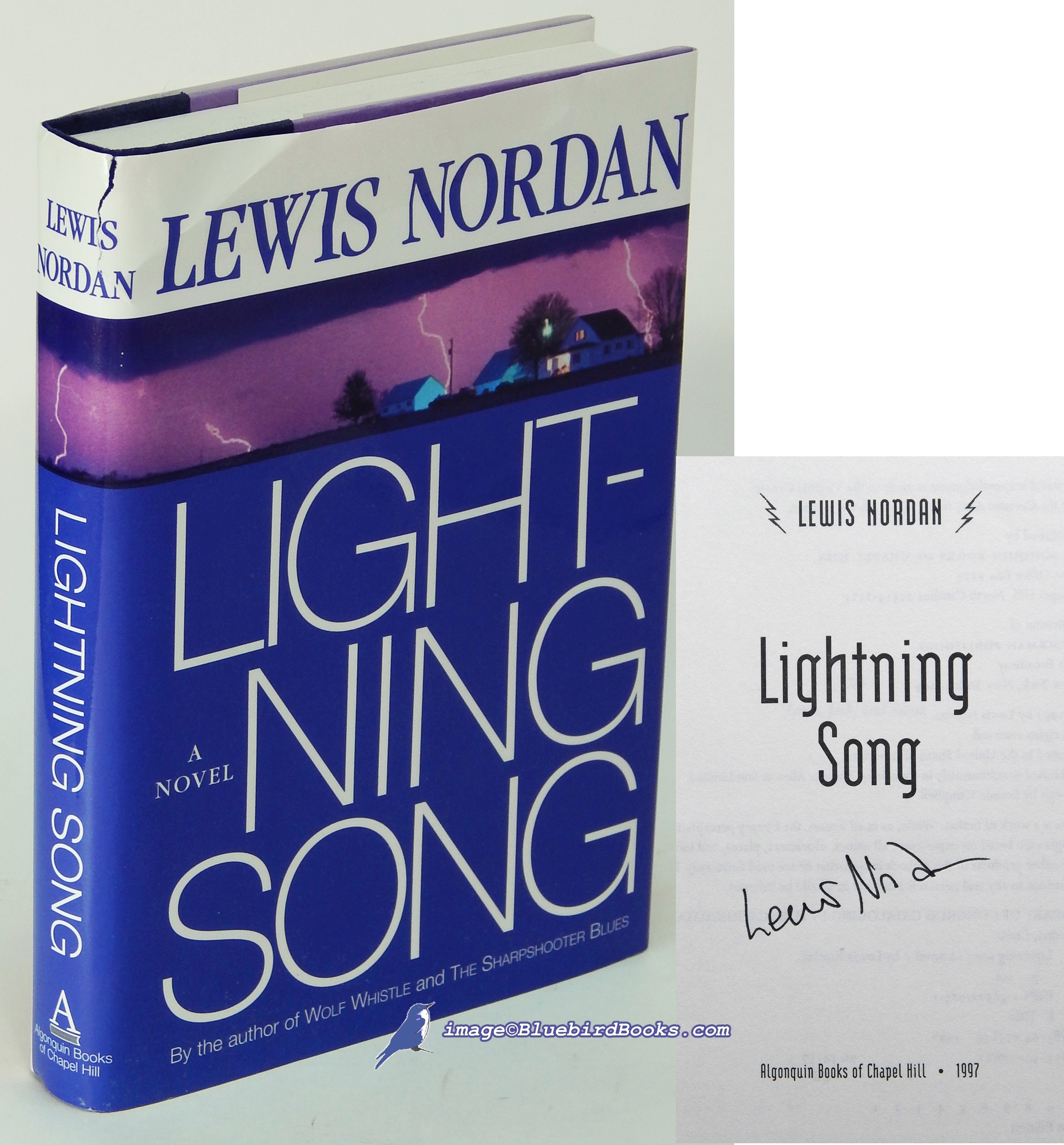 NORDAN, LEWIS - Lightning Song: A Novel