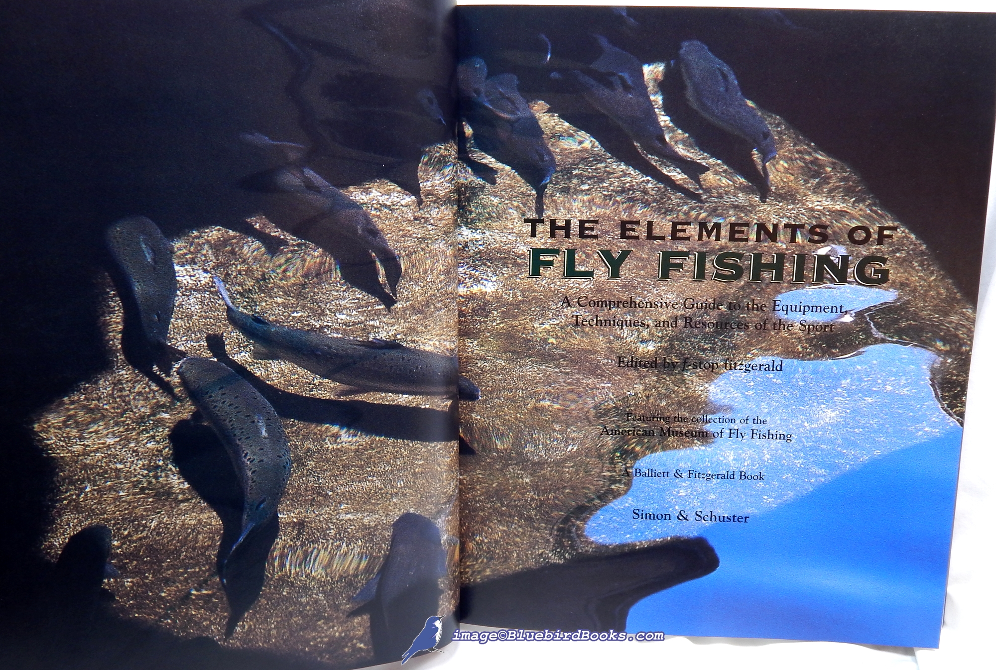洋書 The Elements of Fly Fishing The Elements of Fly Fishing: A Comprehensive Guide to the