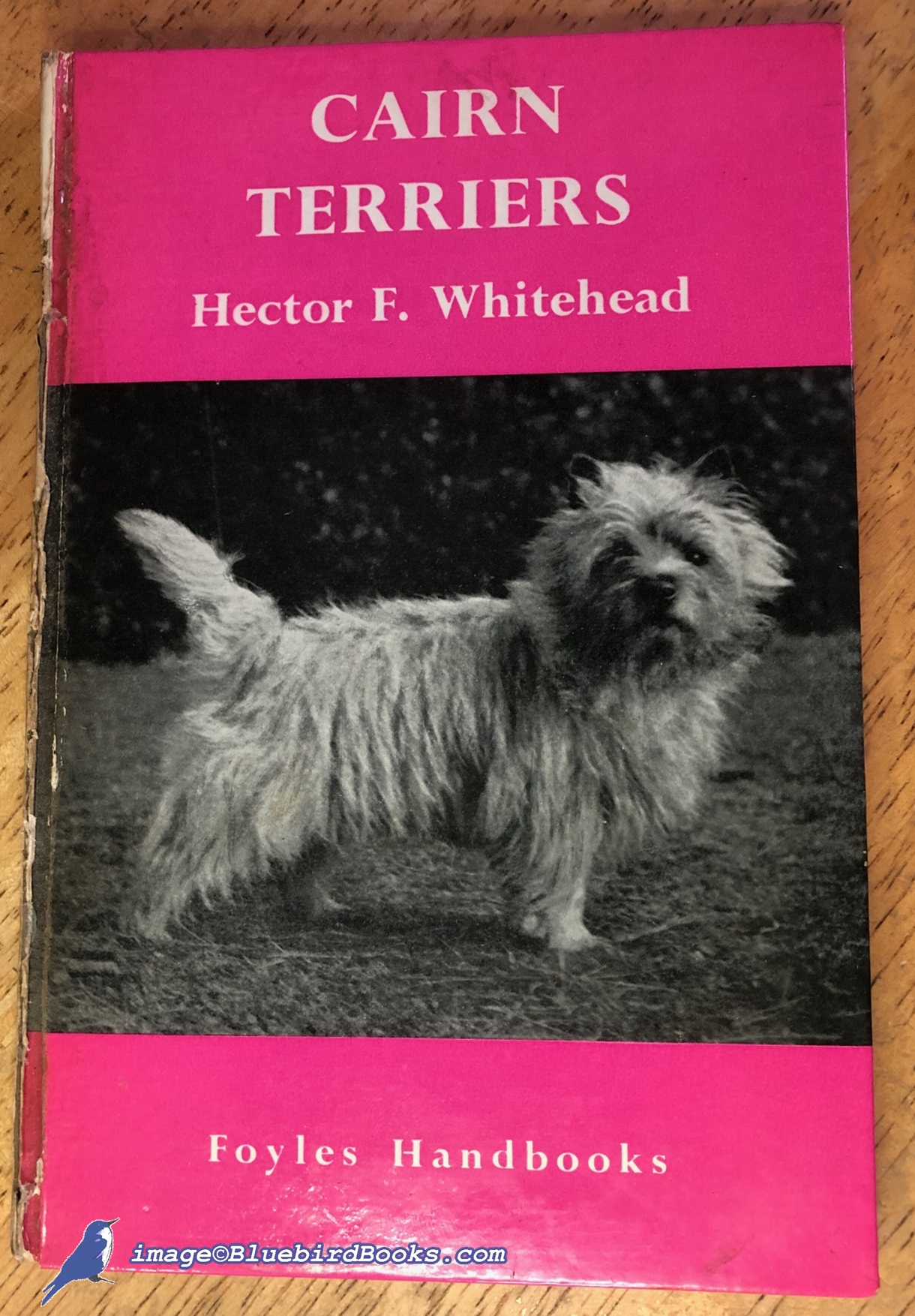 WHITEHEAD, LT. COL. HECTOR F. - Cairn Terriers