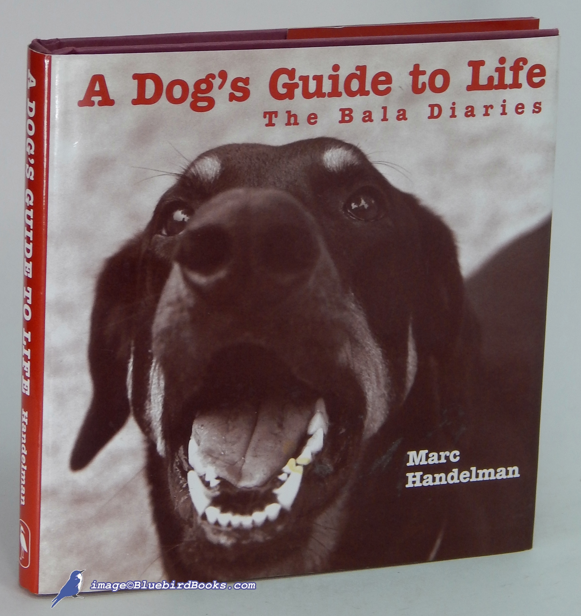 HANDELMAN, MARC - A Dog's Guide to Life: The Bala Diaries