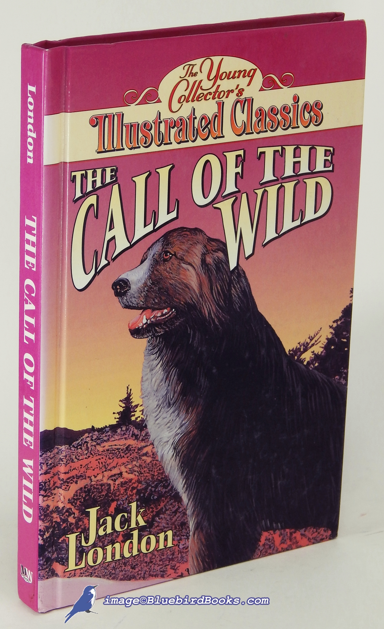 Image for The Call of the Wild (The Young Collector's Illustrated Classics)