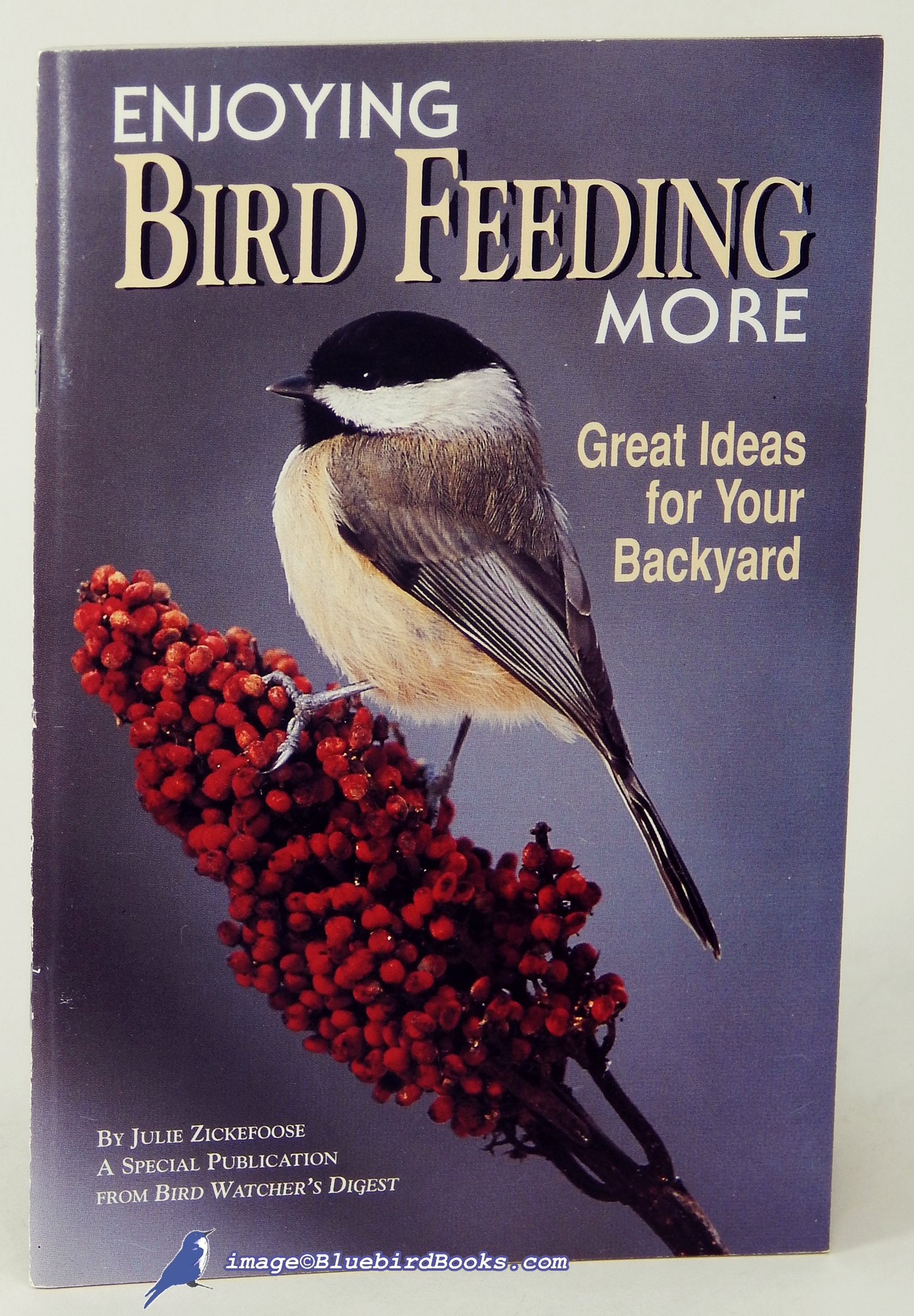 Image for Enjoying Bird Feeding More