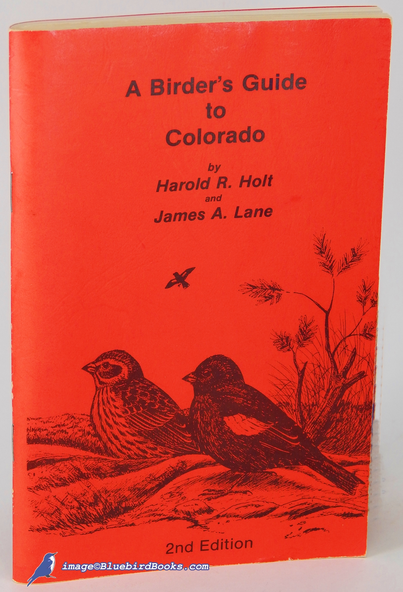 HOLT, HAROLD R.; LANE, JAMES A. - A Birder's Guide to Colorado: Second Edition