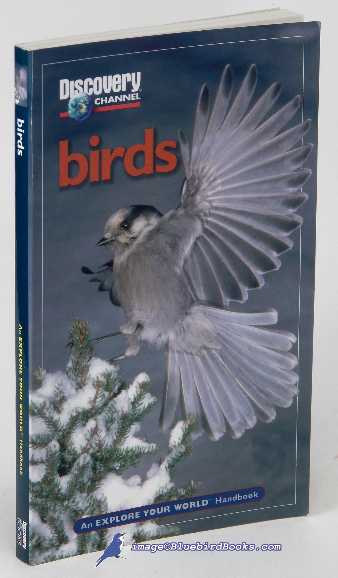 Image for Discovery Channel: Birds (An Explore Your World Handbook)